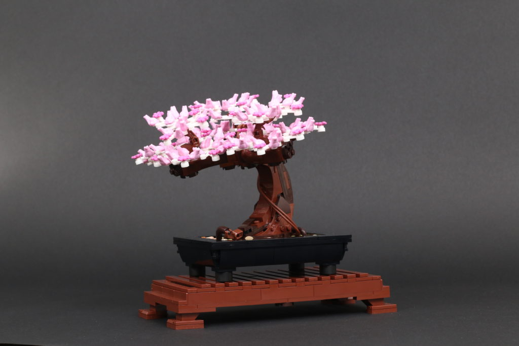 LEGO Botanical Collection 10281 Bonsai Tree review 46