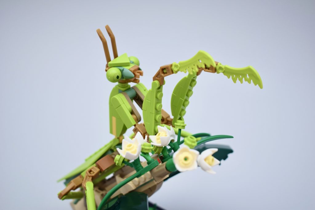LEGO Ideas 21342 The Insects Collection Review 11 1024x683
