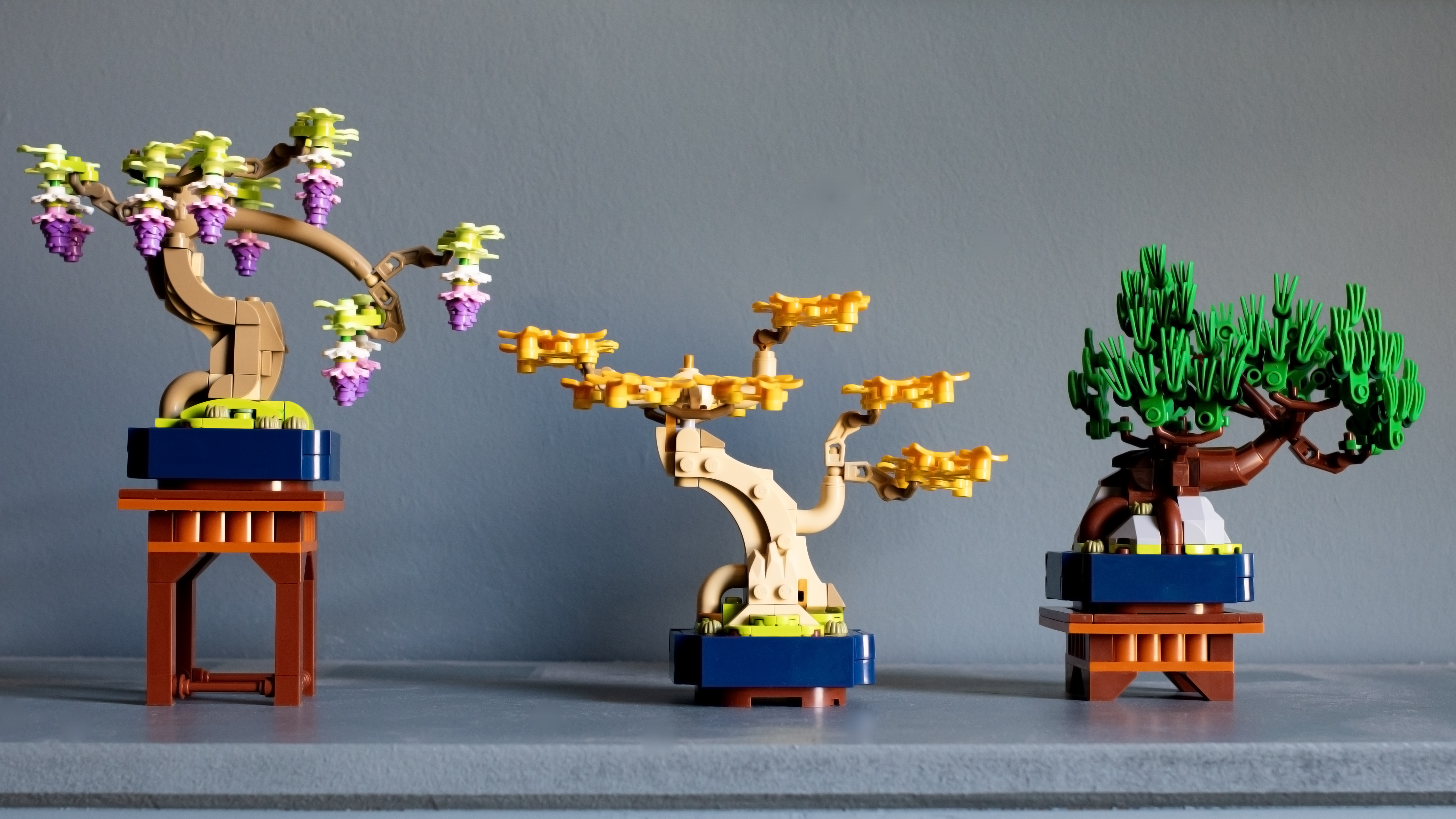 LEGO Botanicals 10373 Mini Bonsai Trees review